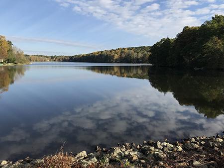 Help Preserve Our Lake