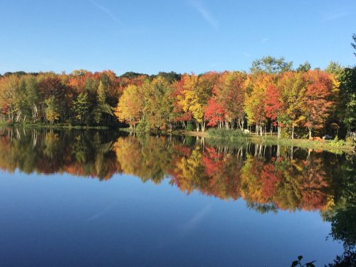 alpoa-fall-pic