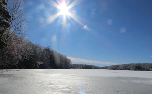 frozenlake